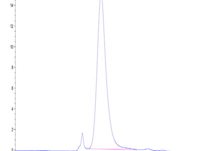 Mouse CD43 Protein (CD4-MM143)