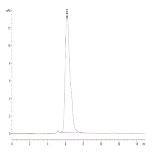 Mouse CD43 Protein (CD4-MM243)