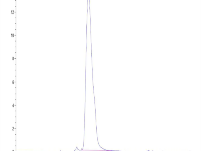 Mouse CD43 Protein (CD4-MM243)