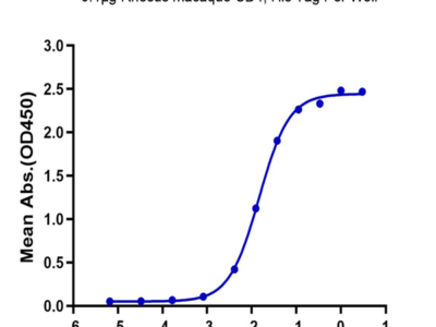 Rhesus macaque CD4/LEU3 Protein (CD4-RM101)