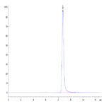 Rhesus macaque CD4/LEU3 Protein (CD4-RM101)