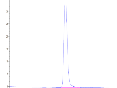 Cynomolgus CD55 Protein (CD5-CM105)