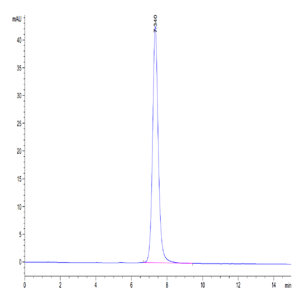 Human CD55 Protein (CD5-HM105)