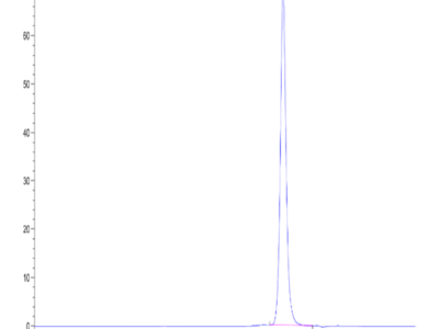 Human CD5L Protein (CD5-HM10L)