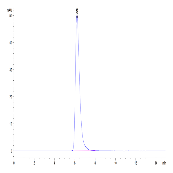 Human CD58 Protein (CD5-HM208)