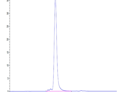 Human CD52 Protein (CD5-HM352)