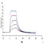 Human IL-2 R alpha/CD25 Protein (CD5-HM425)