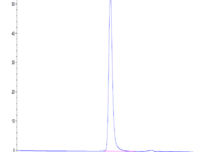 Mouse CD5 Protein (CD5-MM101)