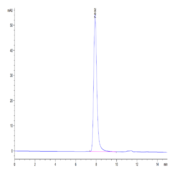 Mouse CD5 Protein (CD5-MM101) Mouse CD5 Protein (CD5-MM101)