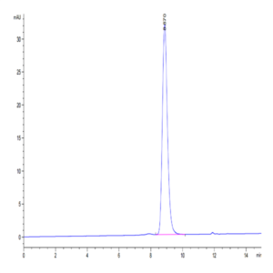 Biotinylated Mouse CD5 Protein (Primary Amine Labeling) (CD5-MM101B)
