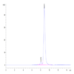 Mouse CD5L Protein (CD5-MM10L)