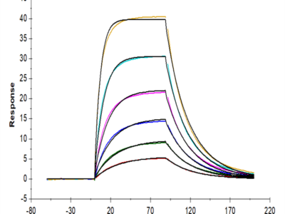 Mouse IL-2 R alpha/CD25 Protein (CD5-MM125)