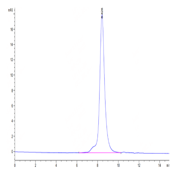 Mouse IL-2 R alpha/CD25 Protein (CD5-MM125)