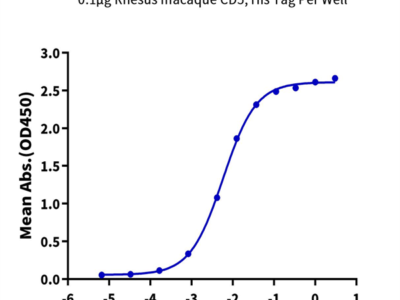 Rhesus macaque CD5 Protein (CD5-RM405)