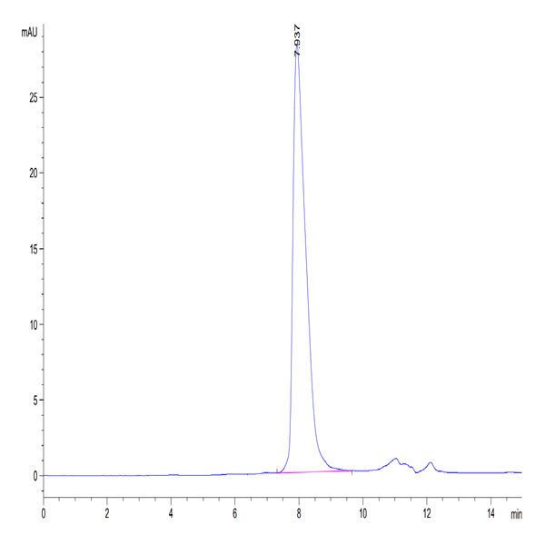 Rhesus macaque CD5 Protein (CD5-RM405)