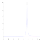 Cynomolgus CD69/CLEC2C Protein (CD6-CM196)