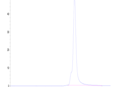Cynomolgus CD69/CLEC2C Protein (CD6-CM196)
