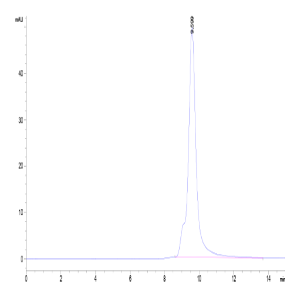 Cynomolgus CD69/CLEC2C Protein (CD6-CM196)