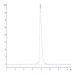 Human CD6 Protein (CD6-HM101)