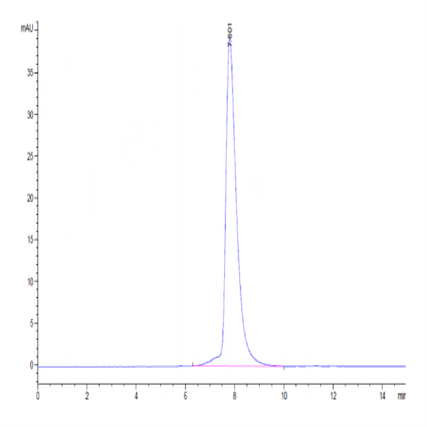 Human CD6 Protein (CD6-HM101)