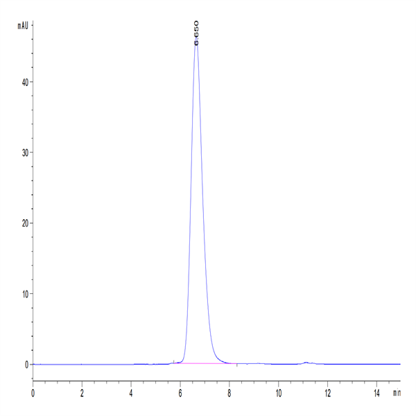 Human CD164 Protein (CD6-HM204) Human CD164 Protein (CD6-HM204)
