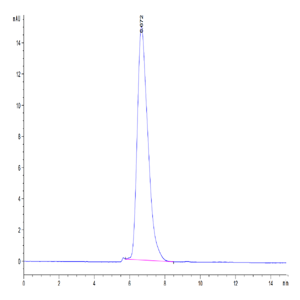 Mouse CD164 Protein (CD6-MM204) Mouse CD164 Protein (CD6-MM204)