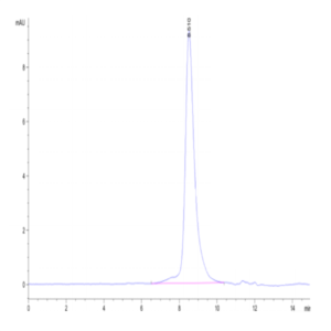 Cynomolgus CD7 Protein (CD7-CM101)