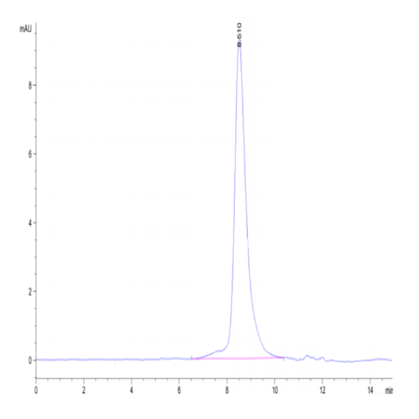 Cynomolgus CD7 Protein (CD7-CM101)