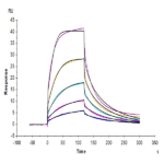 Cynomolgus/Rhesus macaque CD47 Protein (CD7-CM147)