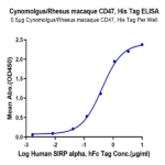 Cynomolgus/Rhesus macaque CD47 Protein (CD7-CM147)