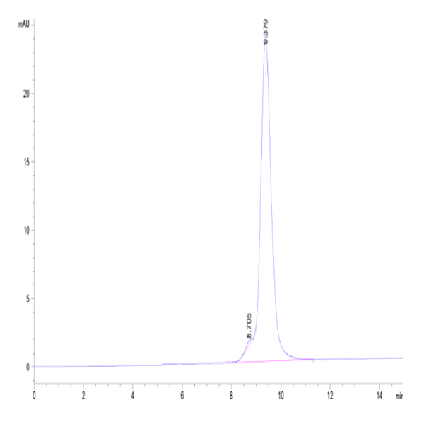 Cynomolgus/Rhesus macaque CD47 Protein (CD7-CM147)