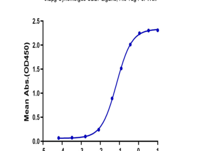 Cynomolgus CD27 Ligand/CD70 Protein (CD7-CM170)