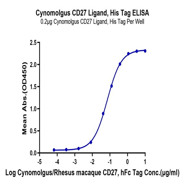 Cynomolgus CD27 Ligand/CD70 Protein (CD7-CM170) Cynomolgus CD27 Ligand/CD70 Protein (CD7-CM170)