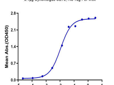 Cynomolgus CD73/NT5E Protein (CD7-CM173)