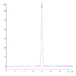Cynomolgus CD73/NT5E Protein (CD7-CM173)