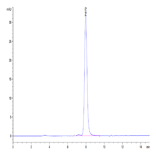 Cynomolgus CD73/NT5E Protein (CD7-CM173)