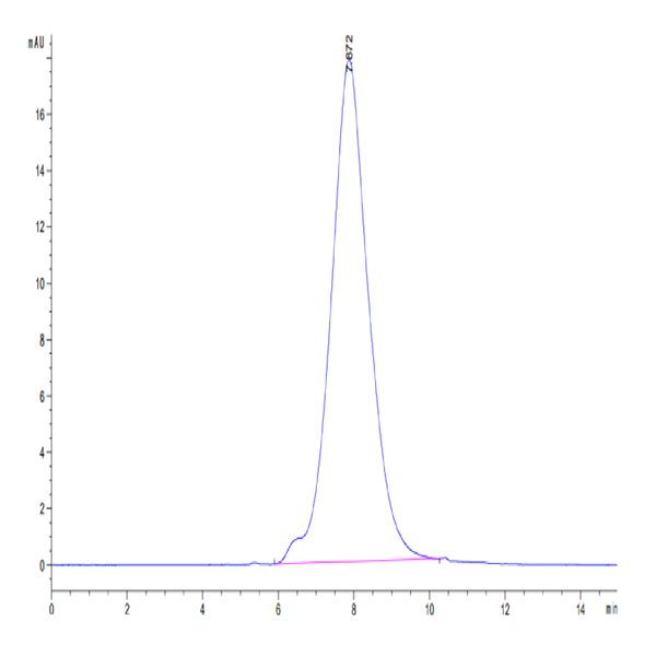 Human CD47 Protein (CD7-HM147)
