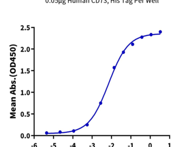 Human CD73/NT5E Protein (CD7-HM173)