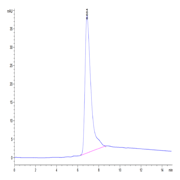 Human CD73/NT5E Protein (CD7-HM173)