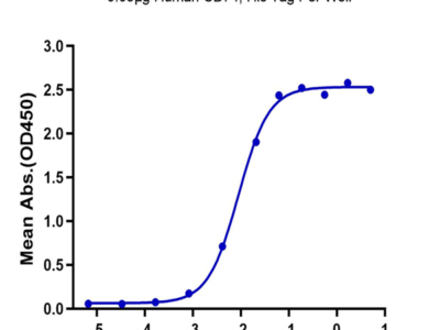 Human CD74/DHLAG Protein (CD7-HM175)