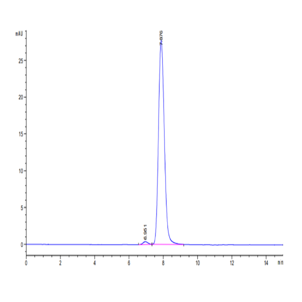 Human CD7 Protein (CD7-HM201)