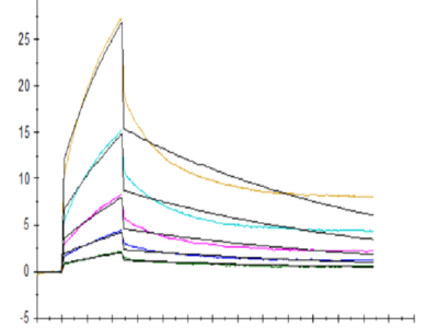 Human CD47 Protein (CD7-HM247)