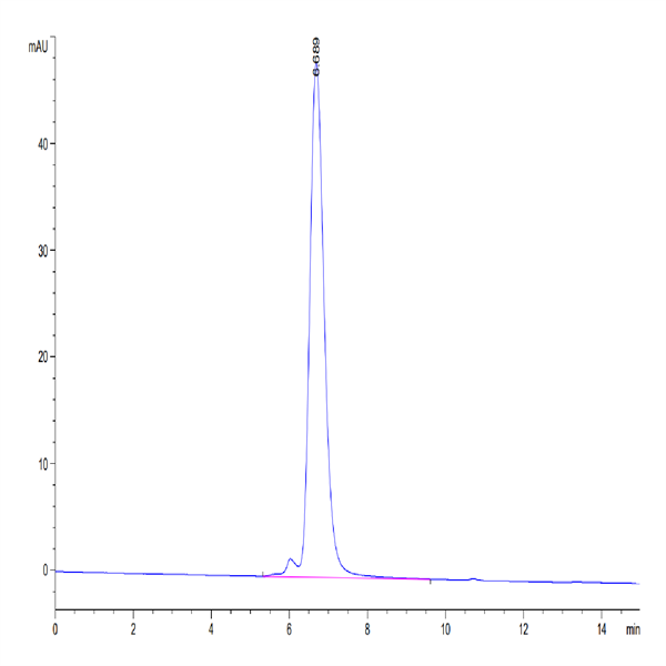 Human CD47 Protein (CD7-HM247)