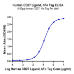 Human CD27 Ligand/CD70 Protein (CD7-HM270)
