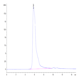 Human CD27 Ligand/CD70 Protein (CD7-HM270)