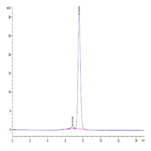 Human CD73/NT5E Protein (CD7-HM273)