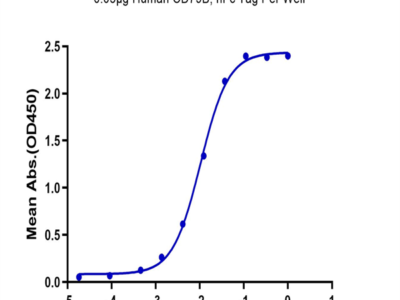 Human CD79B Protein (CD7-HM29B)