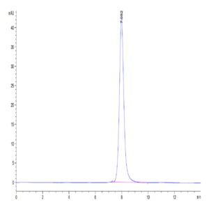 Human CD79B Protein (CD7-HM29B)