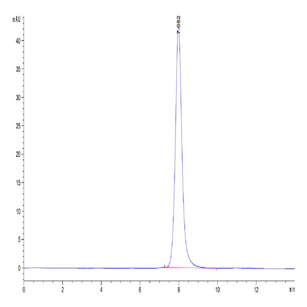 Human CD79B Protein (CD7-HM29B)