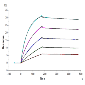 Human IL-17R alpha/CD217 Protein (CD7-HM2RA)
